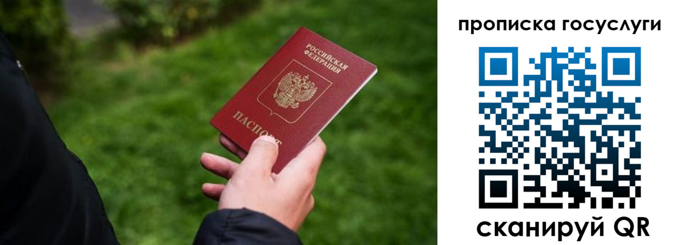 прописка для работы в Соколе